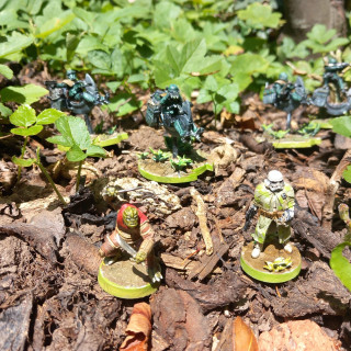 Completed Yavin invasion force