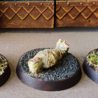 Forgotten Kingdoms    43 / 47  pt.2