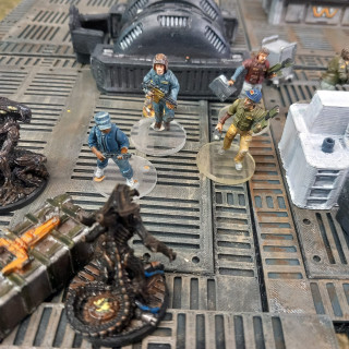 Scenario four: the entrance to coney colony