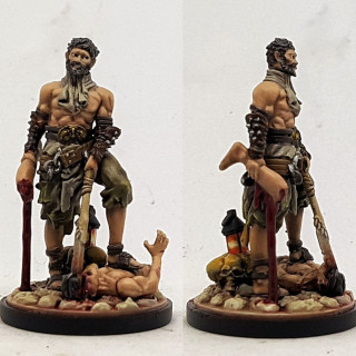 Hide Armour