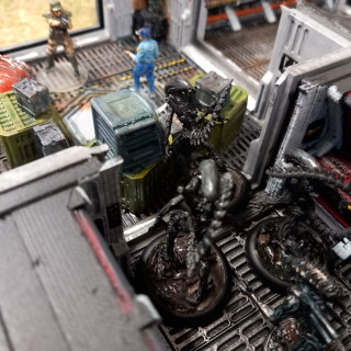 Scenario 6: colonial marshals office