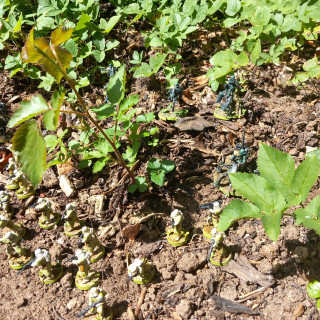 Completed Yavin invasion force