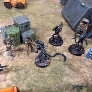 Scenario 6: colonial marshals office