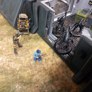 Scenario 6: colonial marshals office