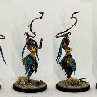 The Phoenix, & People Wearing It's Feathers