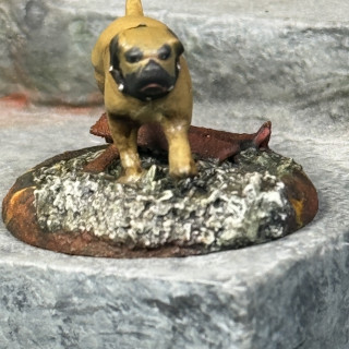 Some Old Bastard and some Mastiff’s