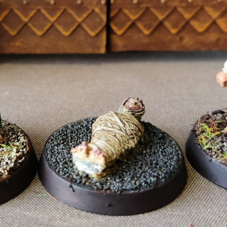 Forgotten Kingdoms    43 / 47  pt.2