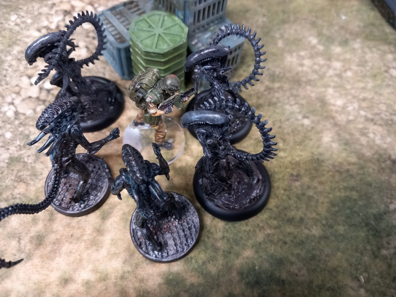 The last marine is killed. The mission was a failure.  Lt Armstrong somehow crawls back to safety but Beck and Voce are killed. Armstrong will need a new team to complete the mission. If they can 