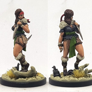 Hide Armour