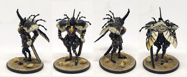 Dung Beetle Knight, Dung Ball, & The Dung Armoured