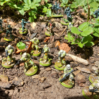 Completed Yavin invasion force