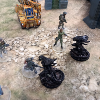 Scenario four: the entrance to coney colony