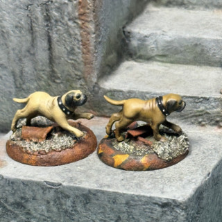 Some Old Bastard and some Mastiff’s