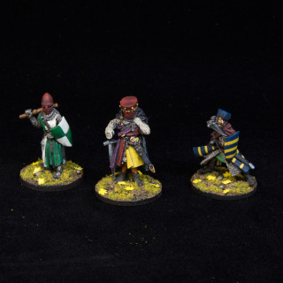 Bretonnian Mordheim warband