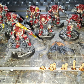 Terminators Continued!