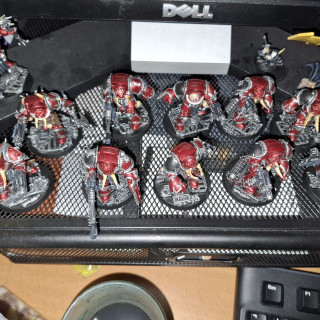 Terminators Continued!