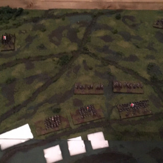 Grass and bushes….. so. Many. Bushes…..