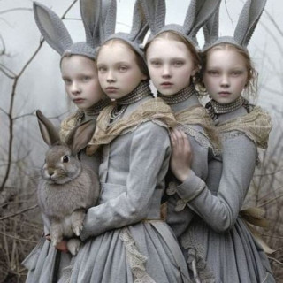 XLBS and thoughts to work on