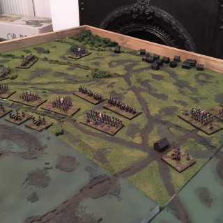 Grass and bushes….. so. Many. Bushes…..