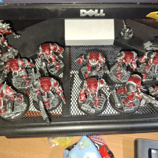 Terminators Continued!