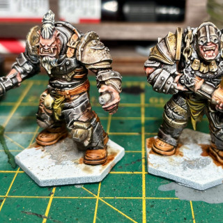 Yep I’ve gone Champions mad and decided to get yet another faction, this time it’s some hulking great Ogres!