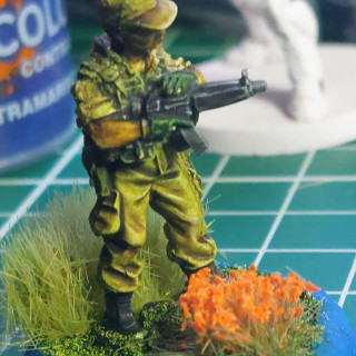 We may see Predators!