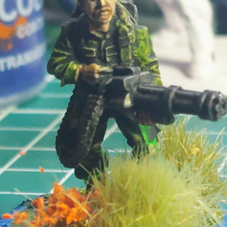 We may see Predators!