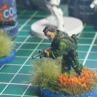 We may see Predators!