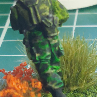 We may see Predators!