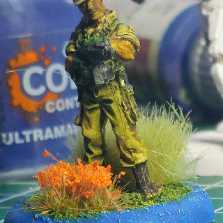 We may see Predators!