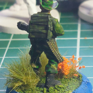 We may see Predators!