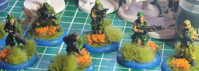 We may see Predators!