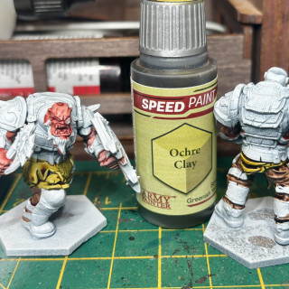 Yep I’ve gone Champions mad and decided to get yet another faction, this time it’s some hulking great Ogres!