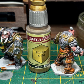 Yep I’ve gone Champions mad and decided to get yet another faction, this time it’s some hulking great Ogres!