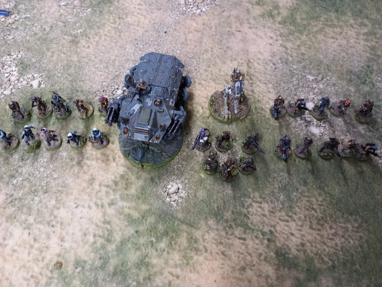 Xenos Rampant forces. Three light infantry units with heavy weapons and guerilla tactics. Recon infantry with sniper team. Walker with light armour. Tank with all terrain capabilities and armour piercing. Elite unit with assault doctrine, demolitions and heavy weapons. Plenty to mix and match for 24 point forces.