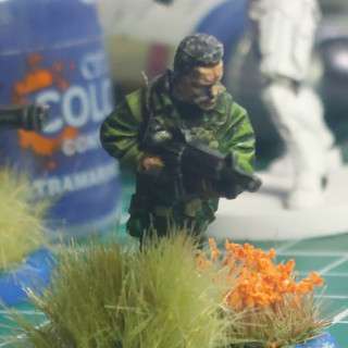 We may see Predators!