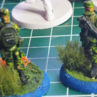 We may see Predators!