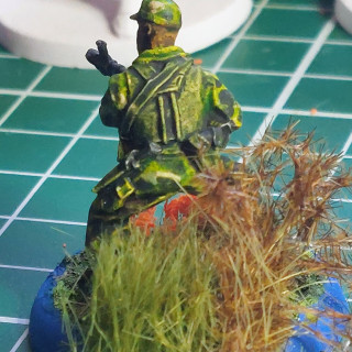 We may see Predators!