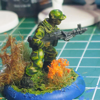 We may see Predators!