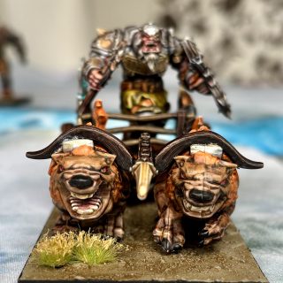 And finally it’s the Queen B herself, Arokamorra!!!