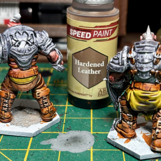 Yep I’ve gone Champions mad and decided to get yet another faction, this time it’s some hulking great Ogres!