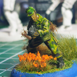 We may see Predators!