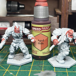 Yep I’ve gone Champions mad and decided to get yet another faction, this time it’s some hulking great Ogres!