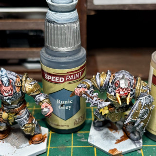 Yep I’ve gone Champions mad and decided to get yet another faction, this time it’s some hulking great Ogres!