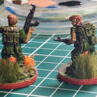 1st Aussies Done