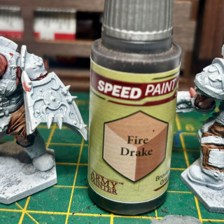 Yep I’ve gone Champions mad and decided to get yet another faction, this time it’s some hulking great Ogres!