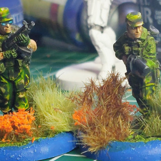 We may see Predators!