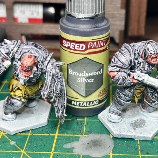 Yep I’ve gone Champions mad and decided to get yet another faction, this time it’s some hulking great Ogres!