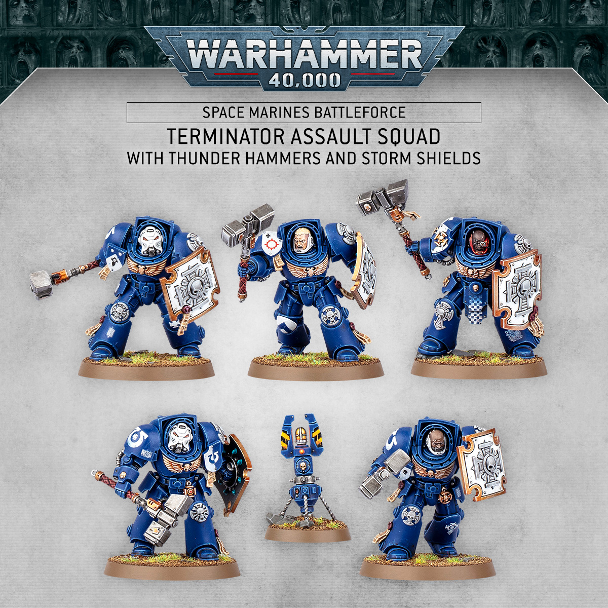 Terminator Assault Squad - Thunder Hammers & Storm Shields - Warhammer 40K