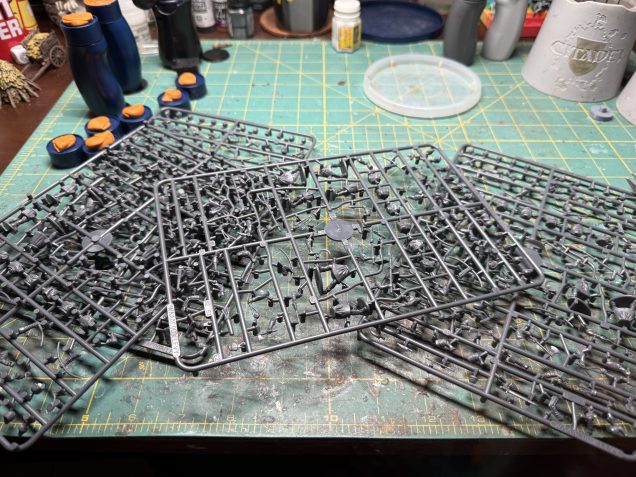 Sprues galore from the depth of the starter box.